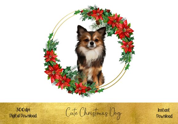 Cute Christmas Fluffy Chihuahua Illustrations
